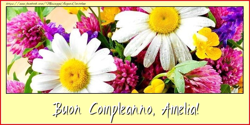 Buon Compleanno, Amelia! - Cartoline compleanno