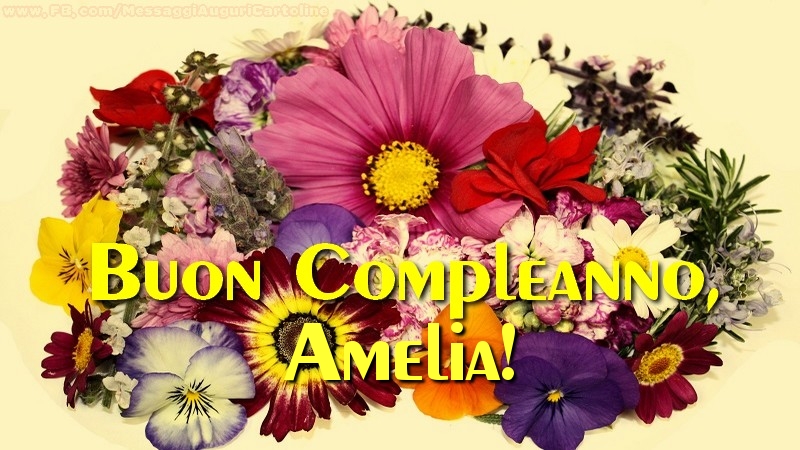 Buon compleanno, Amelia! - Cartoline compleanno